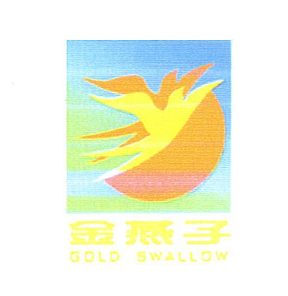 金燕子 gold swallow