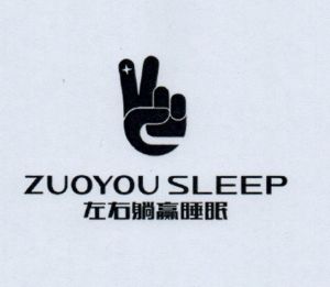 左右躺赢睡眠  ZUOYOU SLEEP