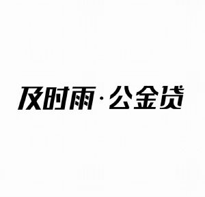 及时雨·公金贷