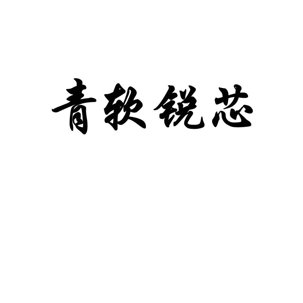 青岛青软锐芯电子科技有限公司