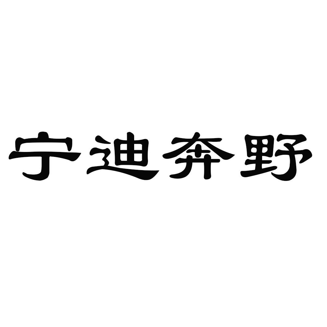 宁迪奔野_注册号16258208_商标注册查询 - 天眼查