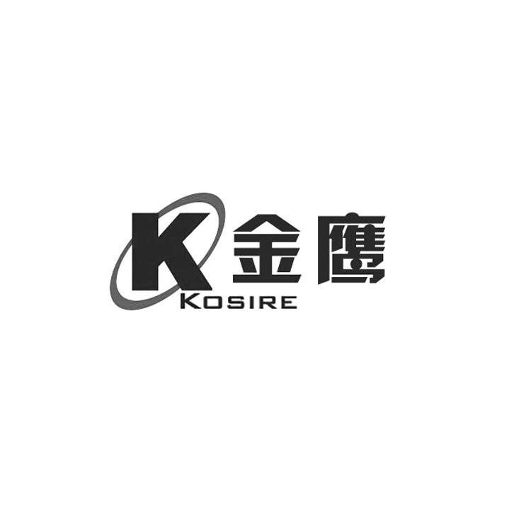 金鹰