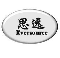 思远eversource