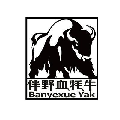 伴野血牦牛 banyexue yak