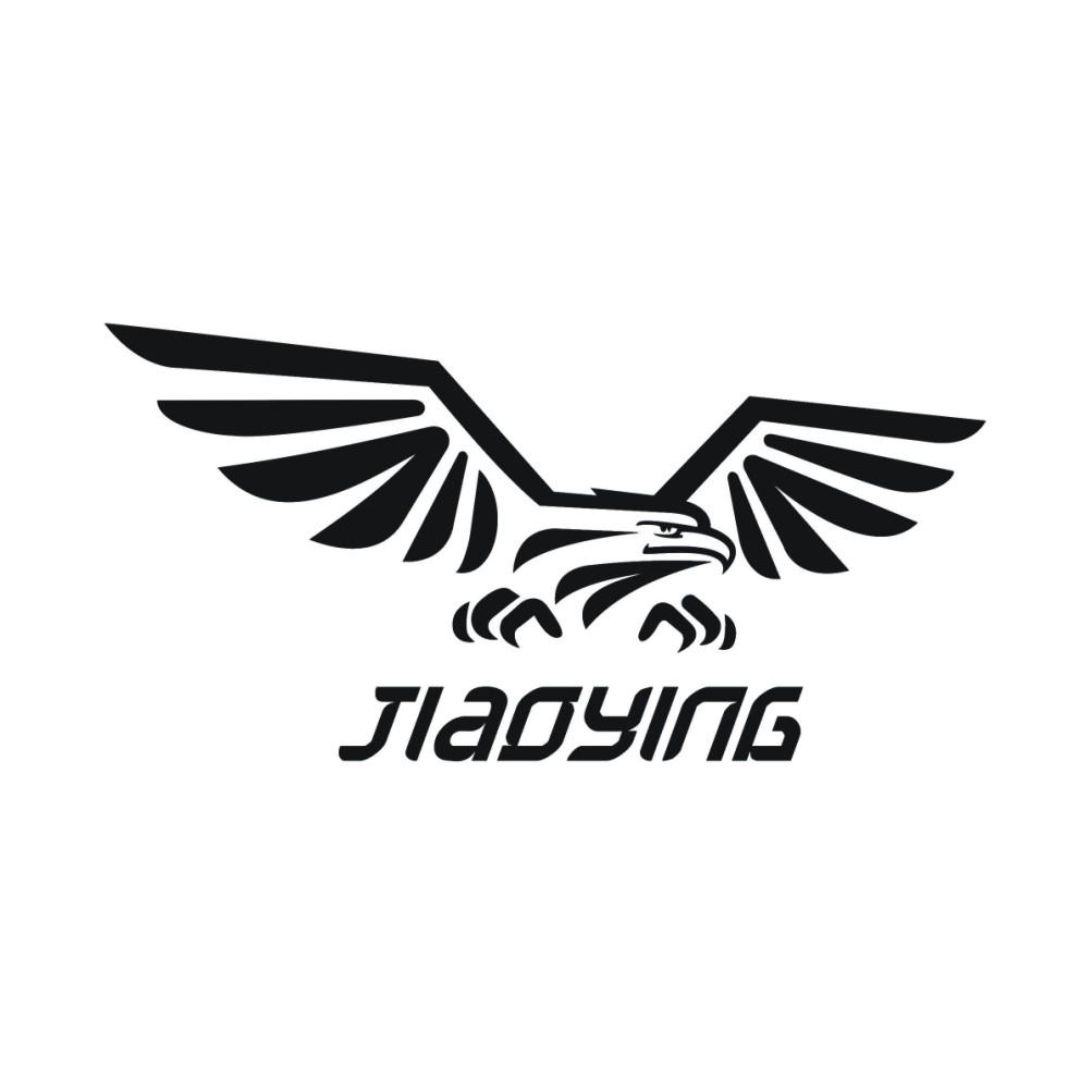 合肥骄鹰汽车用品有限公司