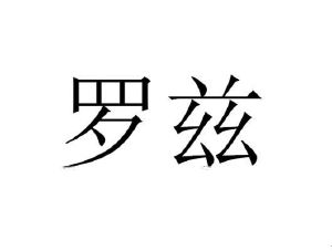 罗兹 申请注册号:53635796国际分类:15-乐器当前状态:初审公告 商标