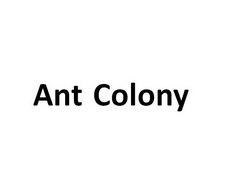 ANT COLONY