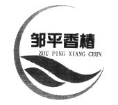 邹平