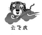 云飞虎物联网有限公司