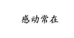 感动常在