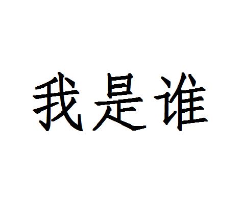 我是谁