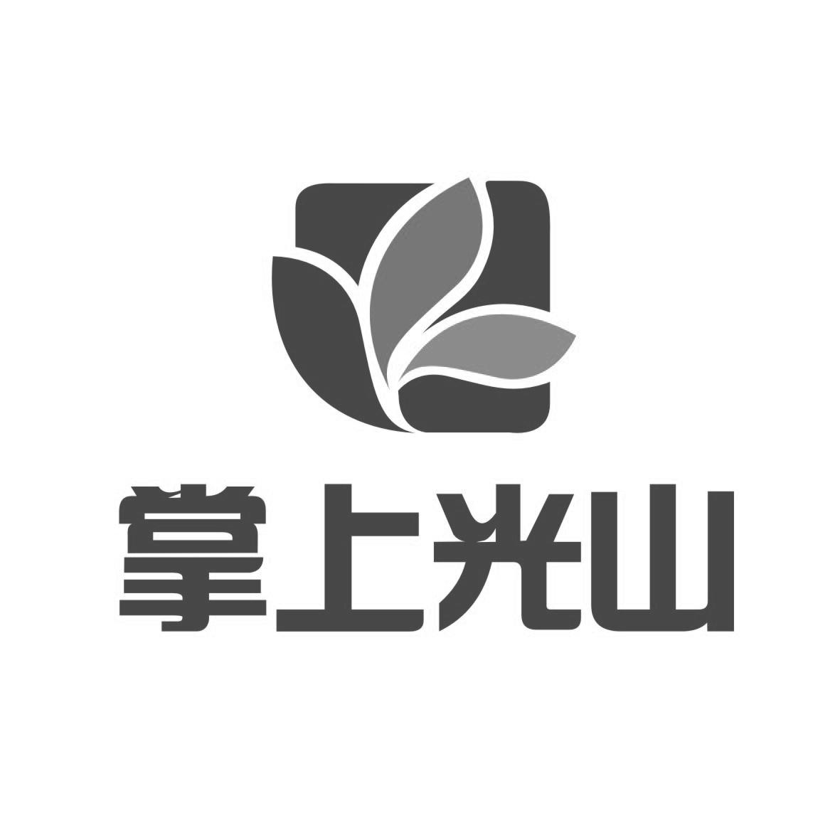 河南省盛世慧通实业有限公司