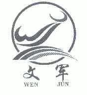 自文军 保险公司文军