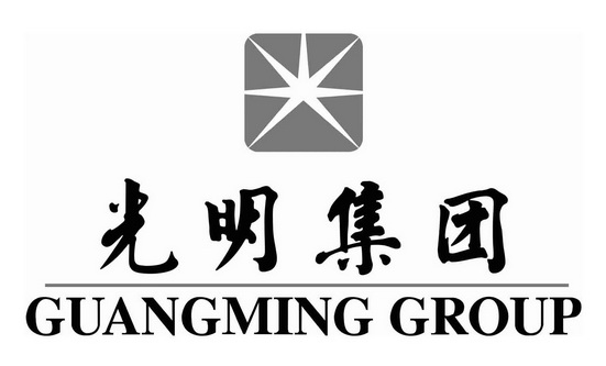光明集团 GUANGMING GROUP