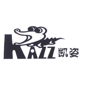 凯姿kazz