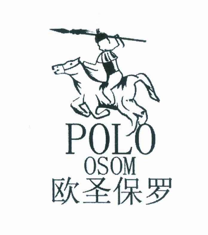 保罗国际有限公司