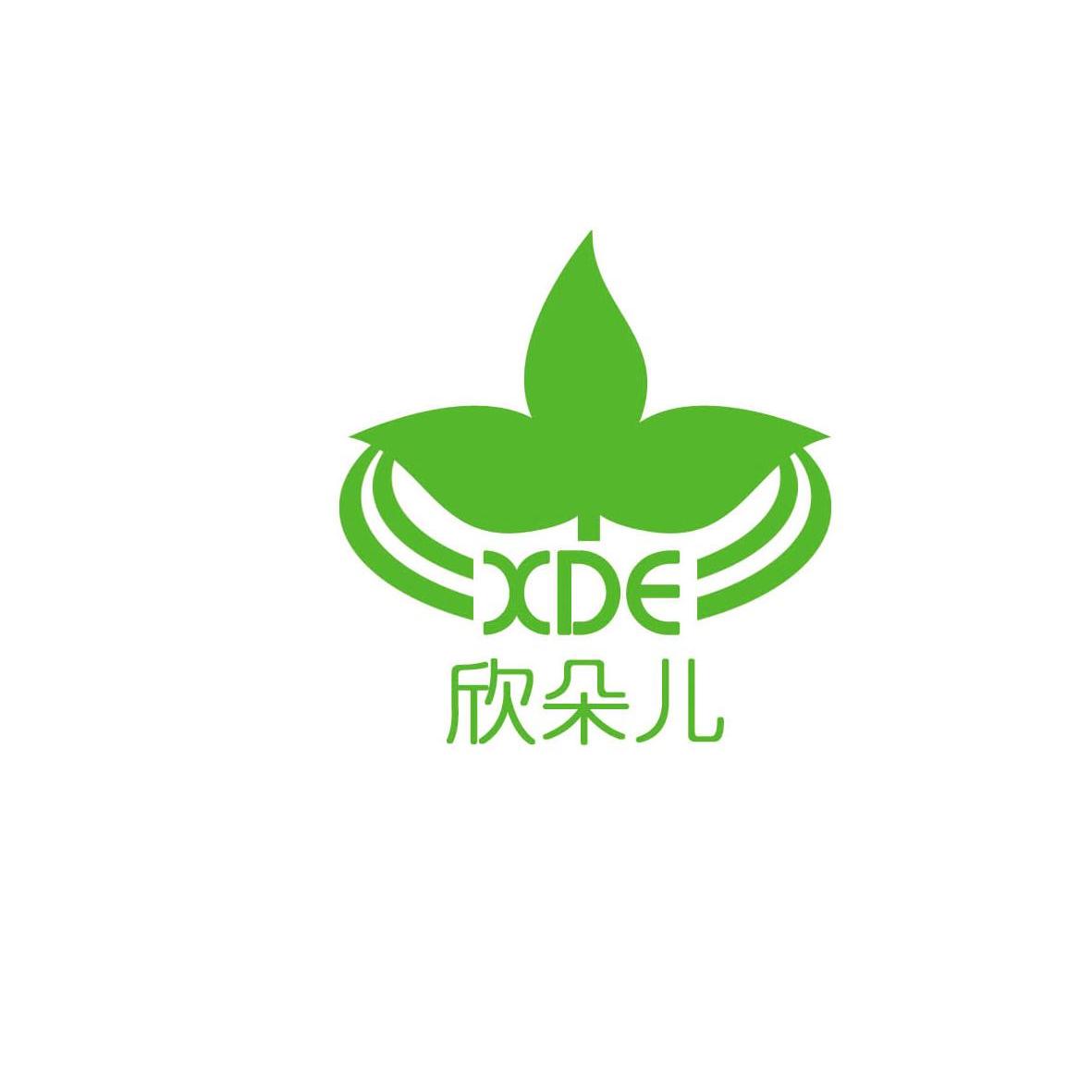 欣朵儿 xde