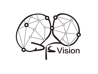 df vision