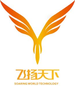 飞扬天下 soaring world technology
