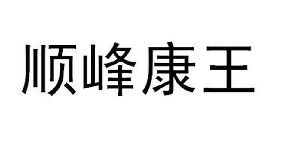 广东华润顺峰药业有限公司