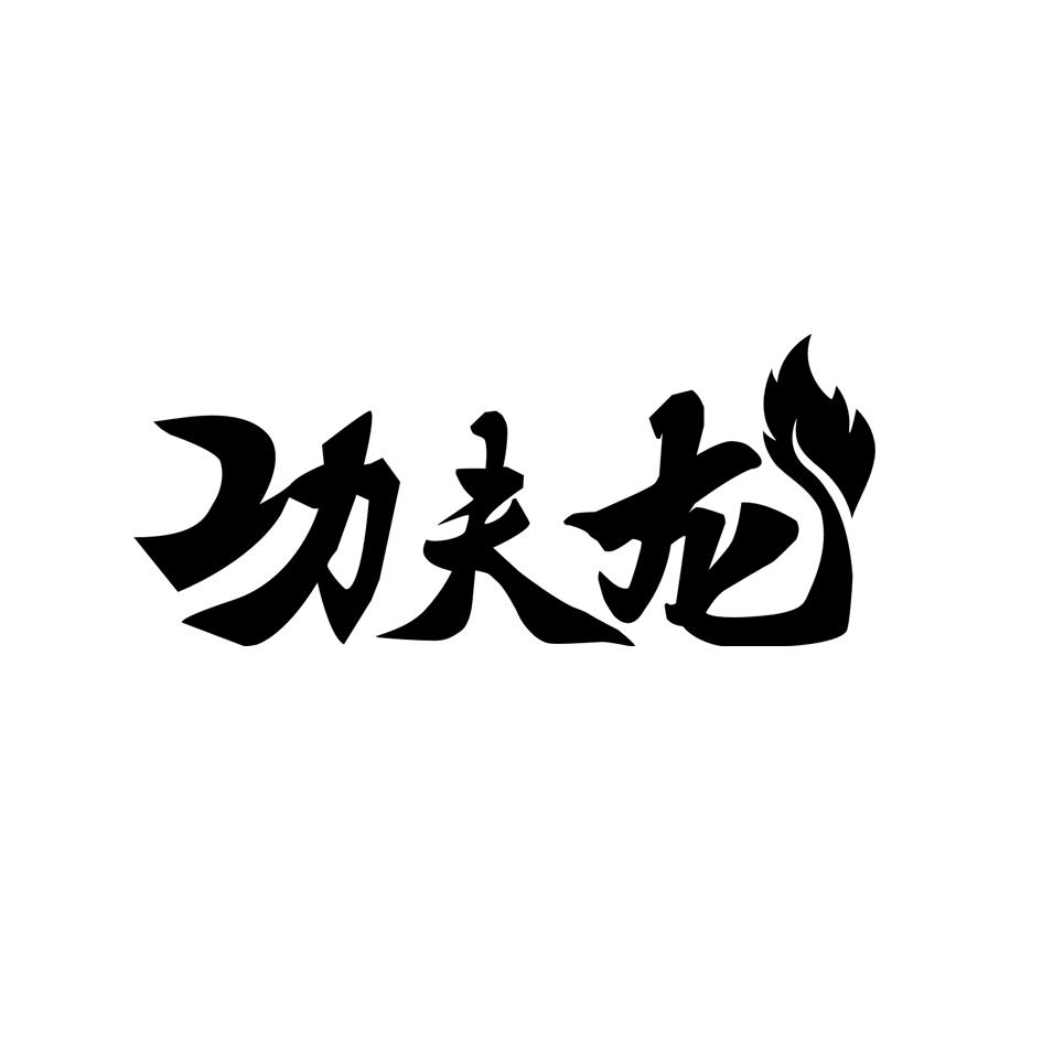 em>功夫龙/em>