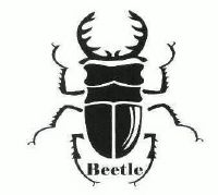 beetle