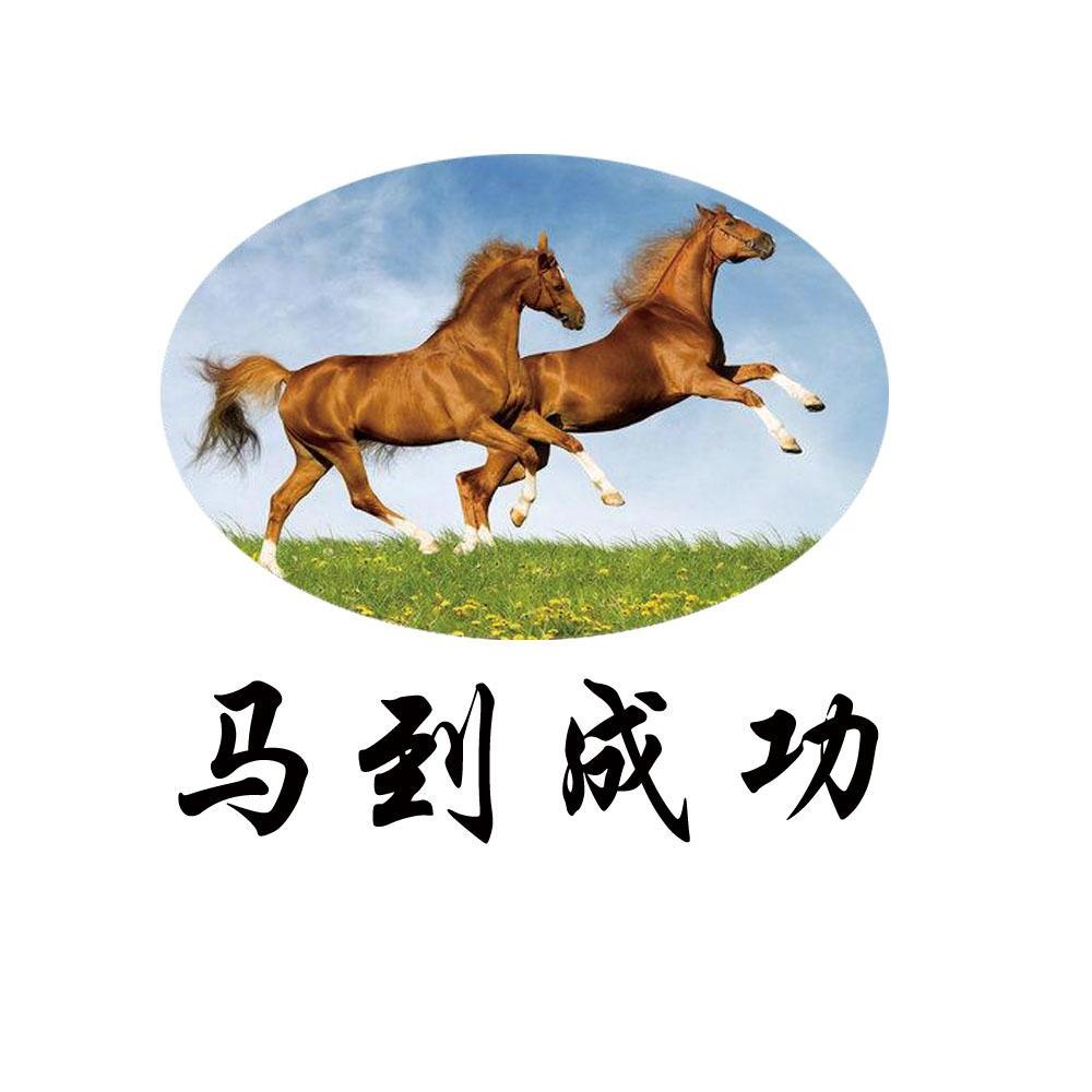 马到成功