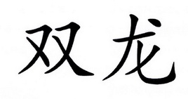 双龙