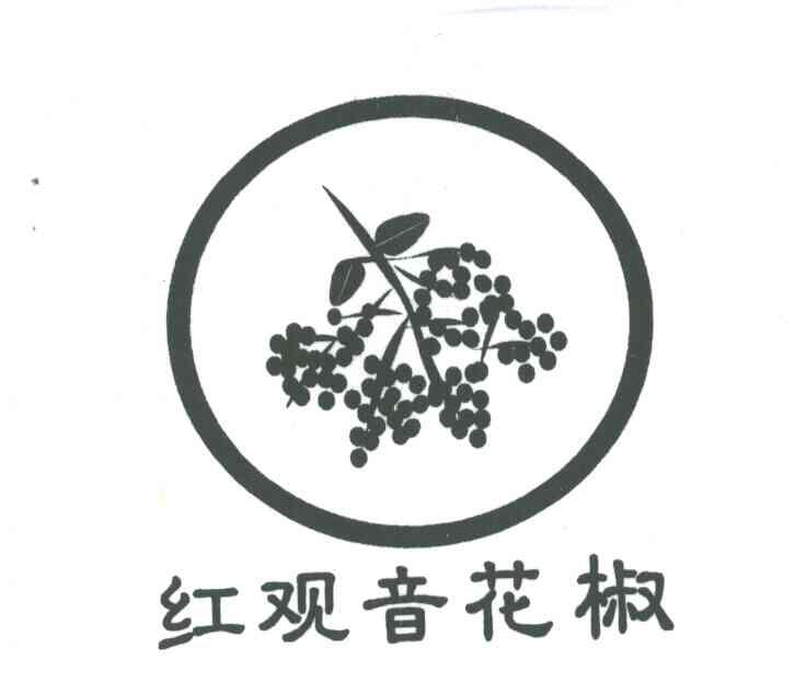 宝丰县观音堂乡花椒协会