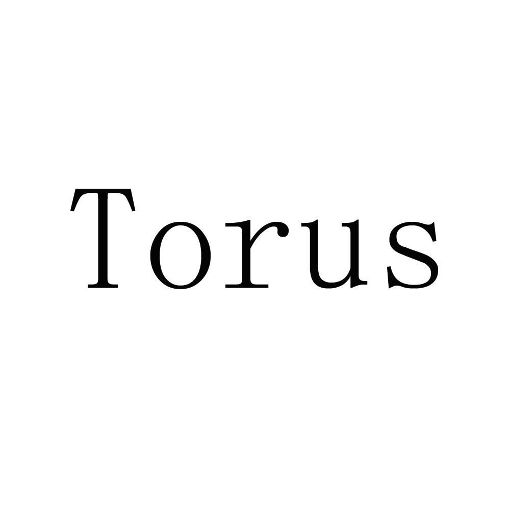 torus