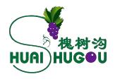槐树沟