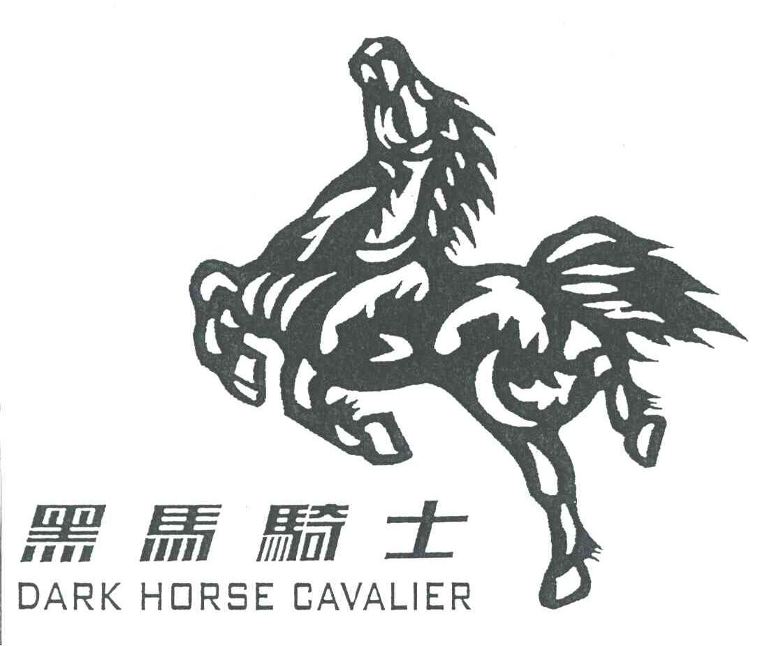 黑马骑士;dark horse cavalier