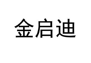 金启迪