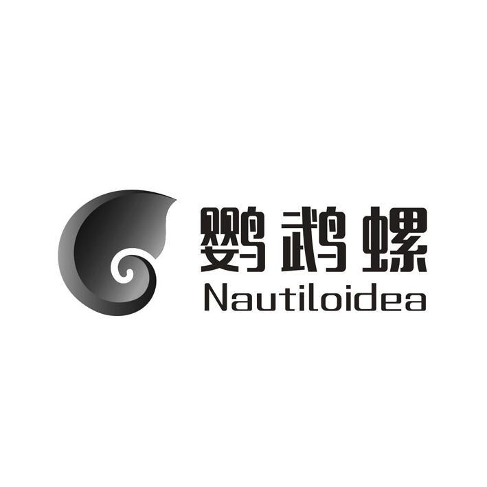 鹦鹉螺 nautiloidea