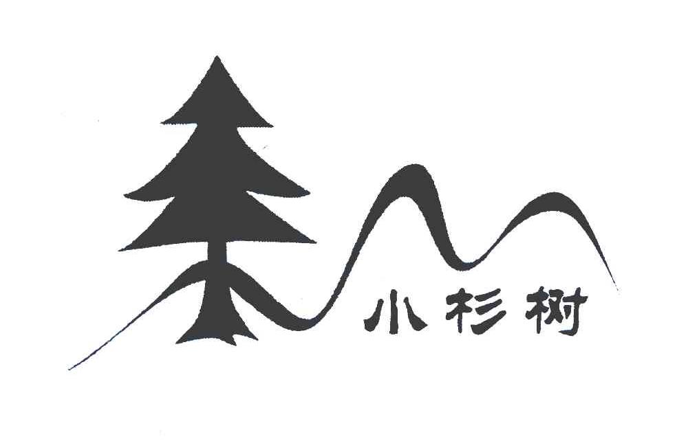 小杉树