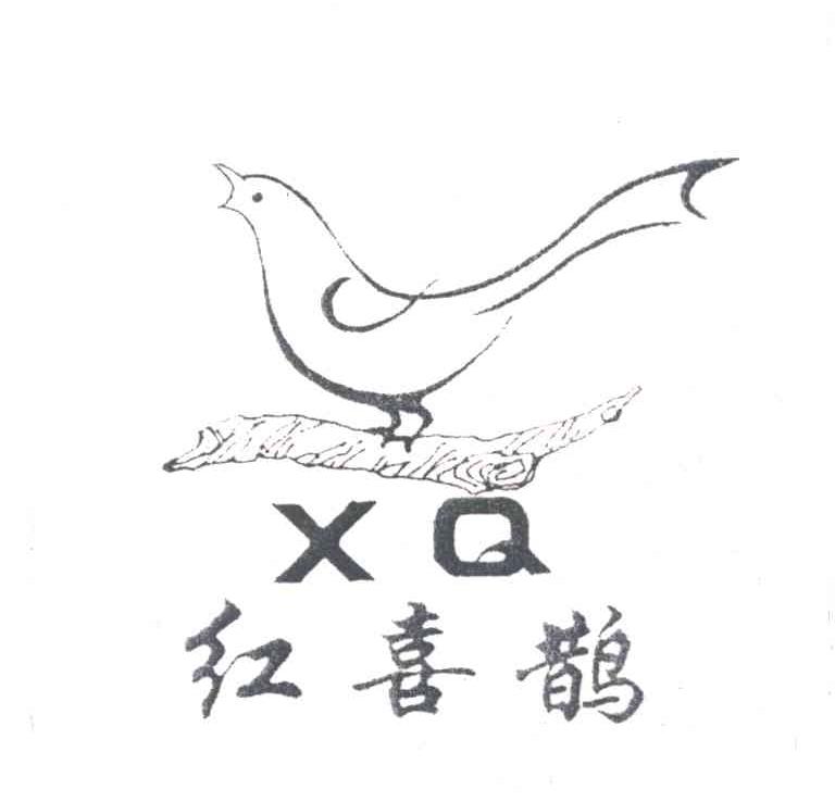 红喜鹊xq