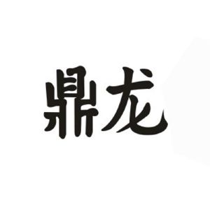 吴川市鼎龙置业有限公司_【信用信息_诉讼信息_财务信息_注册信息_电