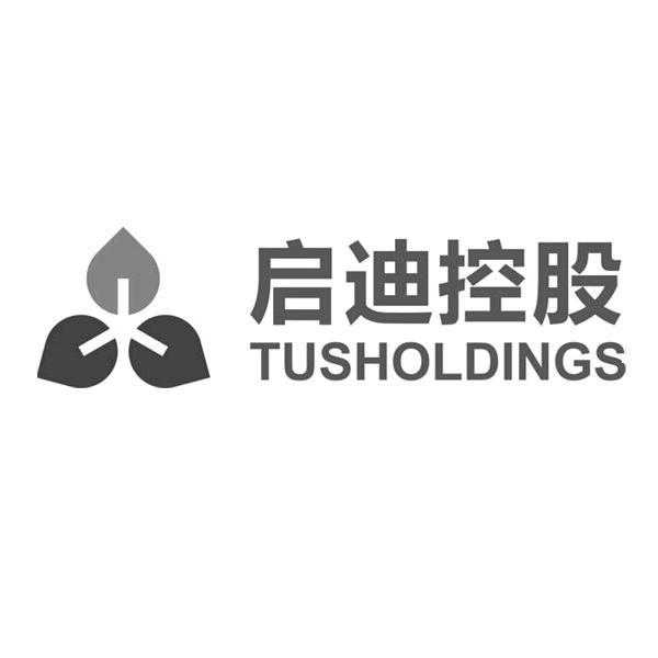  em>启迪 /em>控股 tusholdings