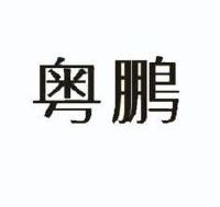 商标详情8 深圳市众 深圳市众恒隆实业有限公司 2013-05-21 12622187