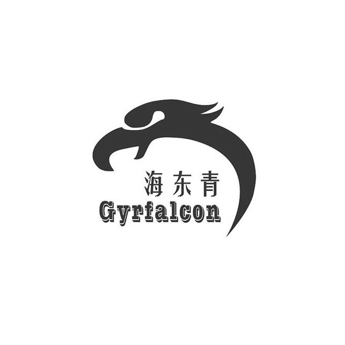 海东青gyrfalcon