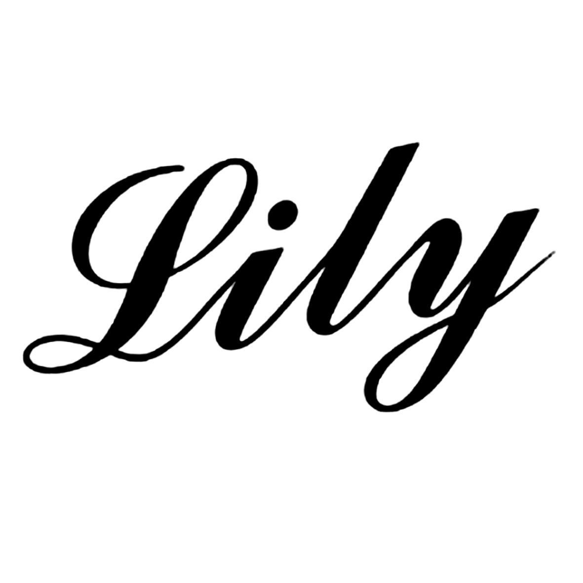 【lily】_36-金融物管_近似商标_竞品商标 - 天眼查