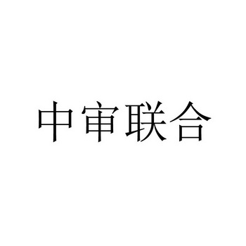 中审联合控股有限公司