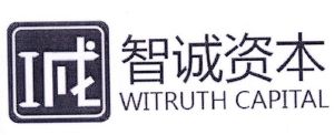 智诚资本诚 witruth capital