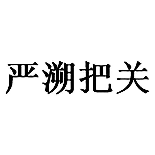 严溯把关