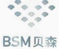 贝森bsm