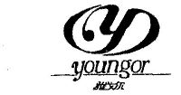 雅戈尔 youngor_注册号793483_商标注册查询 - 天眼查