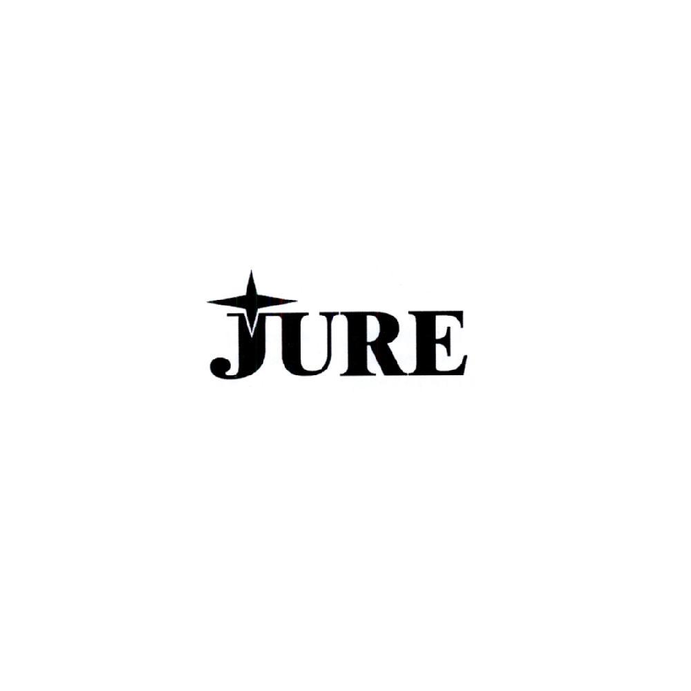 jure_注册号22490963_商标注册查询 - 天眼查