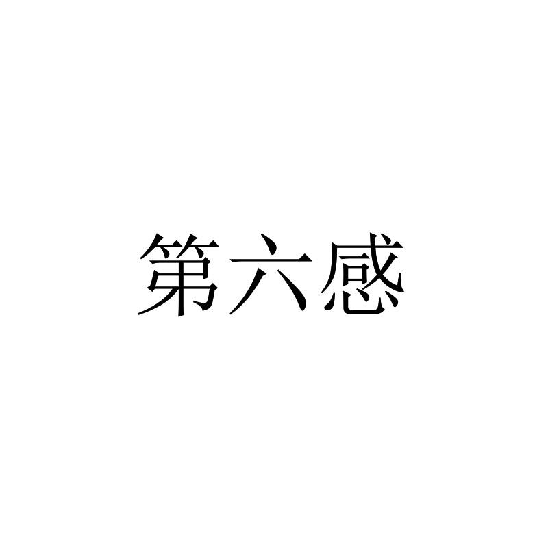 第六感