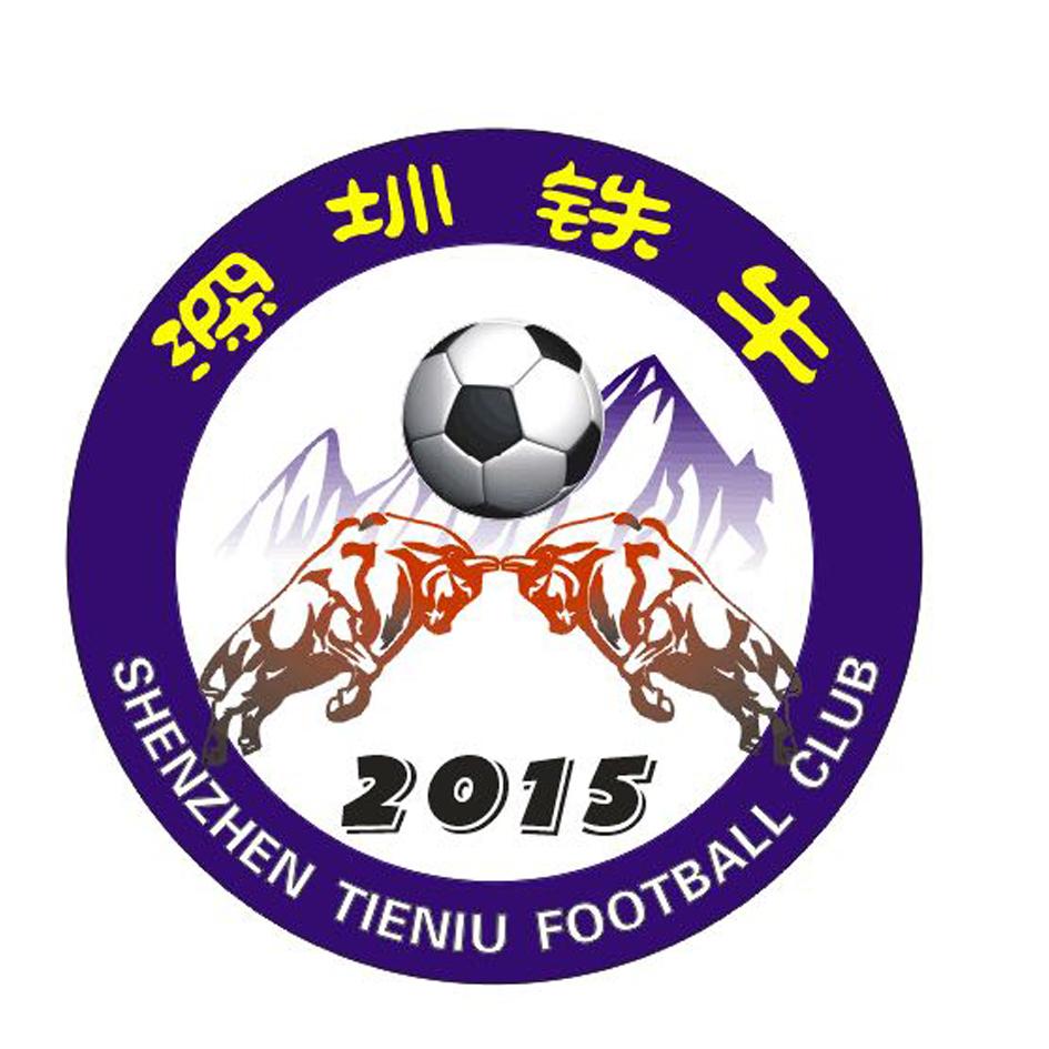 深圳铁牛 shenzhen tieniu football club 2015