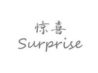 惊喜surprise